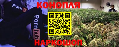 меф Краснознаменск