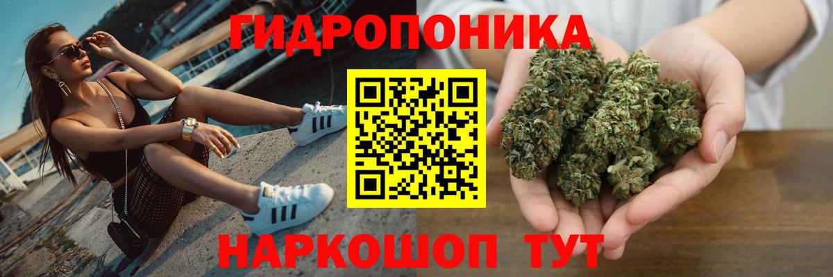Бошки Шишки конопля  Вход с VPN  Канабис Ganja  Конопля ГИДРОПОН  Фролово 
